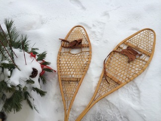 snowshoes in PEI