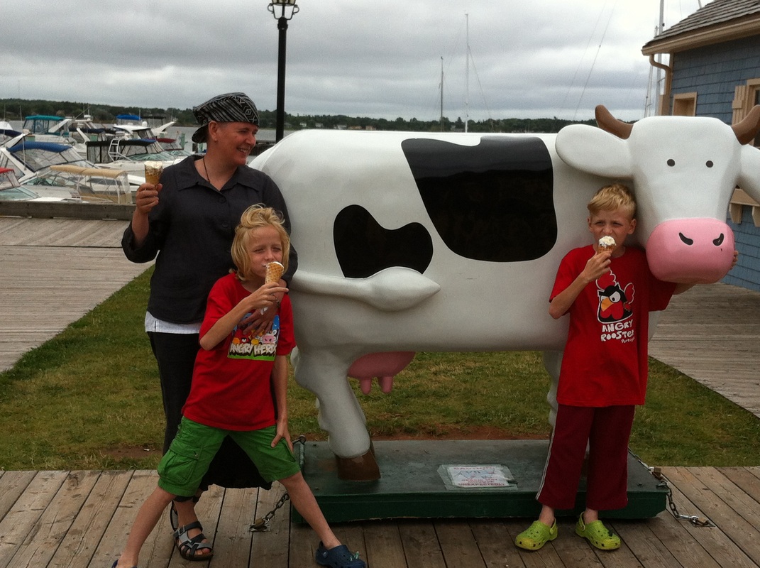 Vera and twins, Cows PEI